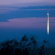 Illustration for article titled This Tower Exists Solely for Dropping Things